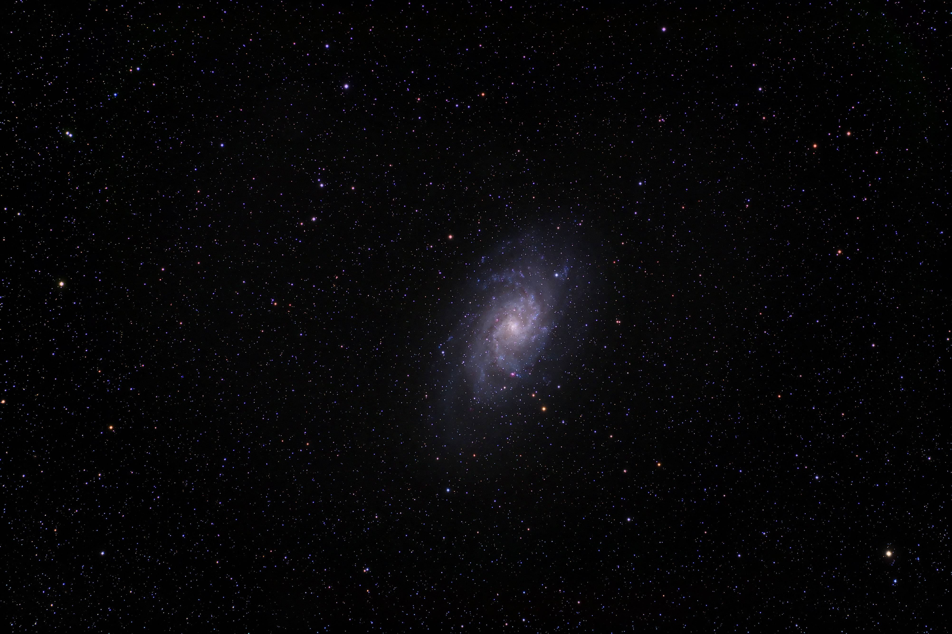 M33
